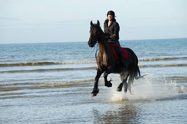 "Magnifique 2 Pieces " 150M Plages Et 500M Centre De Cabourg Zewnętrze zdjęcie